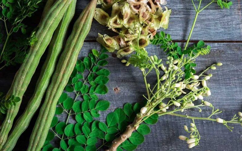 Nutritional value of Moringa, moringa benefits, moringa tree, moringa powder, moringa tea, moringa and weight loss, moringa capsules,moringa benefits,moringa powder benefits,benefits of moringa,moringa health benefits,health benefits of moringa,moringa,benefits of moringa powder,moringa oleifera benefits,moringa powder,moringa: all benefit or all hype?,moringa oleifera,benefits of moringa leaf,moringa tea benefits,moringa tree,moringa tree benefits,moringa tea,moringa benefits and side effects,how to use moringa,moringa benefits for men,moringa for weight loss, moringa benefits,benefits of moringa,health benefits of moringa,benefits of moringa powder,moringa powder benefits,moringa health benefits,moringa,moringa oleifera benefits,moringa powder,benefits of moringa seeds,moringa benefits and side effects,moringa tea benefits,moringa tree,moringa seeds benefits,moringa oleifera,what is the health benefits of moringa?,moringa tea,moringa tree benefits,moringa benefits for hair,benefits of moringa leaf, moringa for weight loss,moringa leaves for weight loss,moringa leaves,moringa juice for weight loss,moringa powder,how to lose weight with moringa,drumstick leaves powder,moringa leaves recipe,drumstick leaves,moringa leaves power,benefits of moringa in weight loss,moringa juice,moringa tea for weight loss,weight loss,health benefits of moringa,moringa weight loss tea,,Nutritional value of Moringa, moringa benefits, moringa tree, moringa powder, moringa tea, moringa and weight loss, moringa capsules