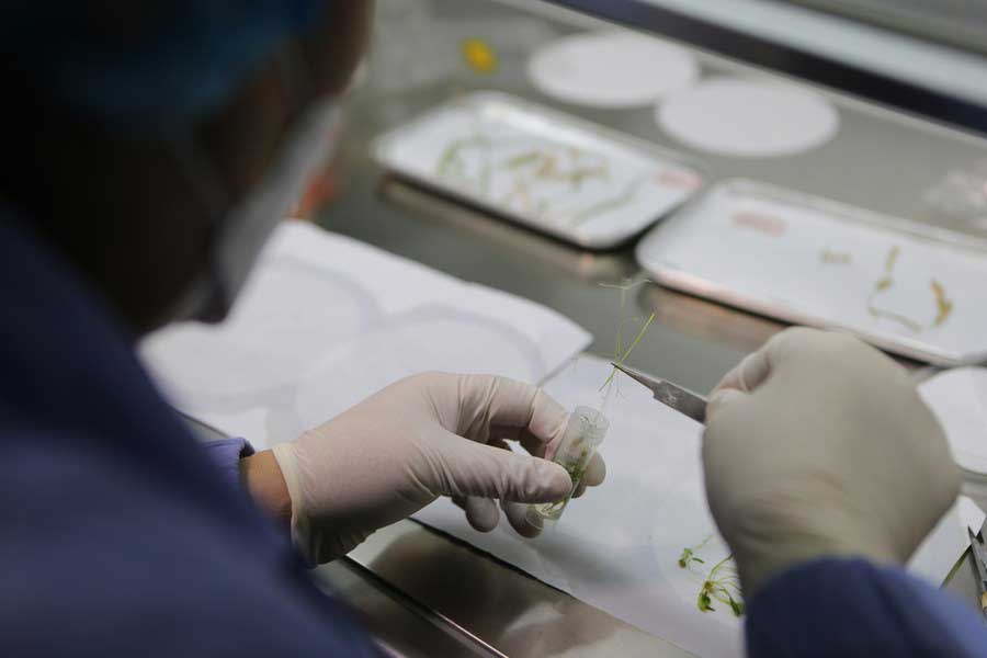 Seeds in Space Pak-China Project