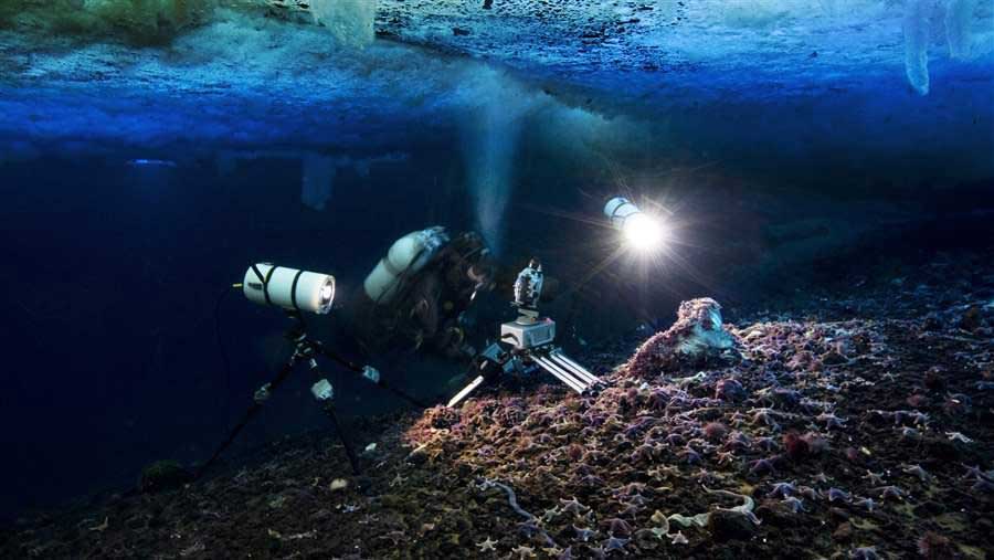 The Southern Ocean: The Fifth Ocean in the World