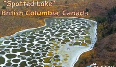 Lake Khiluk, also known as the “Spotted Lake,” makes polka-dot patterns, is a unique and geographically significant natural wonder located in the province of British Columbia, Canada