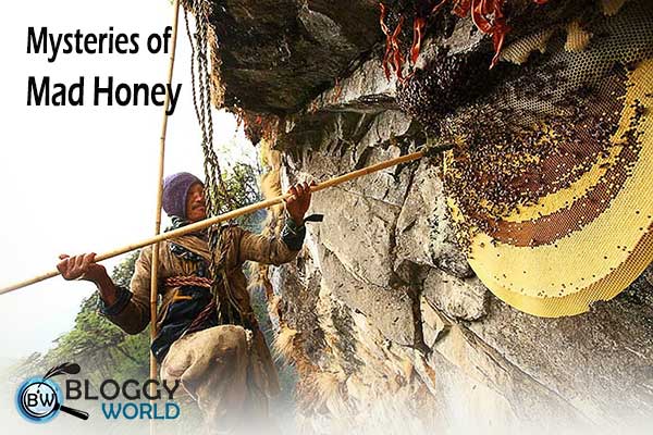 Mad honey (Grayanotoxin) produced by bees feeds on rhododendron plants, has poisoning and intoxicating effects, and grows in Nepal and Turkey. Mad honey is also caled Himalayan honey.