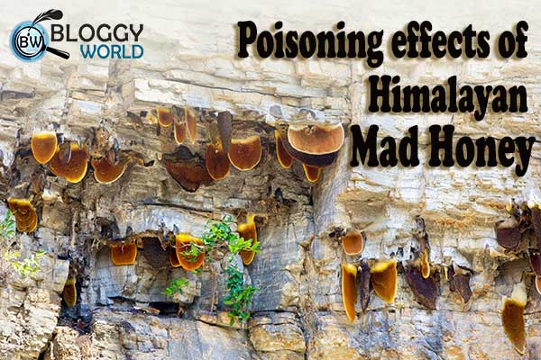 Mad honey (Grayanotoxin) produced by bees feeds on rhododendron plants, has poisoning and intoxicating effects, and grows in Nepal and Turkey. Mad honey is also caled Himalayan honey.
