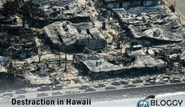 Death toll Hawaii,death toll muai wildfire,death toll lahaina’s wildfire,how fire star in Hawaii,deadlieast fire in century,deadliest fire in history,muai fire cause,muai fire reason,what started the fire,when did haaii fire start,latest updates of Hawaii fire,latest updtes of wildfire in Hawaii, hawaii wildfires,hawaii,lahaina wildfires,hawaii fires,wildfires hawaii,wildfires,hawaii wildfire,hawaii wildfires map,maui wildfires,hawaii wildfires maui,hawaii news,lahaina,hawaii fire,maui hawaii wildfires,lahaina wildfire,hawaii fires map,hawaii wildfires 2023,hawaii wildfires homes,hawaii wildfires today,homes in hawaii wildfire,maui wildfire,wildfire damage hawaii,how did hawaii fire start,hawaii wildfires maui map, hawaii wildfires,hawaii wildfires map,wildfires,hawaii fire,hawaii fires,maui wildfires,hawaii wildfires maui map,hawaii wildfires 2023,wildfires hawaii,hawaii wildfires maui,maui hawaii wildfires,hawaii,hawaii wildfire,wildfire,maui wildfire,hawaii wildfires homes,lahaina wildfires,what started the maui fire,hawaii wildfires maui lahaina,hawaii wildfires today,maui fire,how did hawaii fire start,homes in hawaii wildfire,wild fire deaths Hawaii, tornado,hawaii,hawaii news,fire tornado,arkansas tornado 2023,tyler texas tornado 2023,hawaii wildfires 2023,oklahoma tornado outbreak 2023,tornado in little rock 2023,shawnee oklahoma tornado april 2023,oklahoma tornado april 2023,oklahoma tornado april 19 2023,tornado little rock arkansas 2023,tornado warning,tornado damage,tornado watch,arkansas tornado,hawaii fires,hawaii latest,hawaii wildfires,hawaii wildfires map,tornado Arkansas, Pacific Ocean, Hurricane dora, Mr. Biden, National Fire Protection Association,