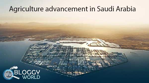 what is neom city suadi arabia,neom city suadi arabia map,neom city suadi arabia location, neom city suadi arabia construction,latest updates of neom city Saudi arabia,neom city suadi arabia budget,area of neom city suadi arabia,neom city suadi arabia area,jaddah to neom city distance,is suadi arabia building a new city,neom city suadi arabia nearest airport,new city suadi arabia the line,neom city suadi arabia latest news,neom city suadi arabia google map,neom city suadi arabia progress,suadi arabia plan new city,neom city suadi arabia temperature,neom city suadi arabia weather,suadi arabia green city,where is neom,green city in suadi arabia,agriculture advancement in Saudi arab,Saudi arabia is growing crops with the help of dutch company,greenhouse implantation in Saudi arabia,Saudi arabia plans to grow crops near Neom the line city, Saudi arabia plans to grow crops by red sea,duth horticulturist implant greenhouse outside neom,future city,Saudi arabia desert area,big garden fields next to neom city,mohammed bin salman,Saudi arabia’s crown prince,van der hoever,dutch expert vander hoever,neom big project, saudi arabia,saudi arabia green desert,saudi arabia green wall,desert farming in saudi arabia,saudi arabia farmland,saudi arabia desert,saudi arabi farmland,arabia desert,saudi arabia desert to farmland,arabic desert,desert,turning desert into farmland,groundwater management in saudi arabia,neom project saudi arabia,saudi arabia desert turns green,agriculture in saudi arabia,saudi arabia water in the desert,saudi arabia water in desert,Saudi, desert farming in saudi arabia,saudi arabia,saudi arabia green wall,saudi arabia green desert,china turns desert into green forests,saudi arabia is turning its desert into green forest,turning desert into farmland,saudi arabia farmland,desert into forest,desert into green,saudi arabia desert,saudi arabia desert to farmland,arabia desert,arabic desert,saudi arabi farmland,desert farming,desert into farmland,desert into fertile land, dutch scientists,growing crops in deserts,scientists in the netherlands,breakthroughs in disease treatment,desert farming,dutch scientists test anti-ageing molecule,food in the desert,dutch,desert,crops,chinese scientists,deserts,the rise of greenhouse farming,turning desert into forest,turning desert into farmland,scientist (profession),scientists test anti-ageing molecule,scientists,desert into fertile land,the future of food, synthetic climate,