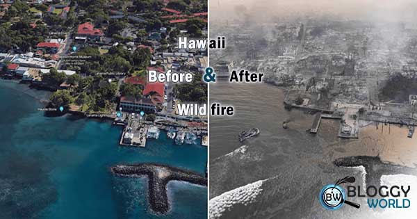 Death toll Hawaii,death toll muai wildfire,death toll lahaina’s wildfire,how fire star in Hawaii,deadlieast fire in century,deadliest fire in history,muai fire cause,muai fire reason,what started the fire,when did haaii fire start,latest updates of Hawaii fire,latest updtes of wildfire in Hawaii, hawaii wildfires,hawaii,lahaina wildfires,hawaii fires,wildfires hawaii,wildfires,hawaii wildfire,hawaii wildfires map,maui wildfires,hawaii wildfires maui,hawaii news,lahaina,hawaii fire,maui hawaii wildfires,lahaina wildfire,hawaii fires map,hawaii wildfires 2023,hawaii wildfires homes,hawaii wildfires today,homes in hawaii wildfire,maui wildfire,wildfire damage hawaii,how did hawaii fire start,hawaii wildfires maui map, hawaii wildfires,hawaii wildfires map,wildfires,hawaii fire,hawaii fires,maui wildfires,hawaii wildfires maui map,hawaii wildfires 2023,wildfires hawaii,hawaii wildfires maui,maui hawaii wildfires,hawaii,hawaii wildfire,wildfire,maui wildfire,hawaii wildfires homes,lahaina wildfires,what started the maui fire,hawaii wildfires maui lahaina,hawaii wildfires today,maui fire,how did hawaii fire start,homes in hawaii wildfire,wild fire deaths Hawaii, tornado,hawaii,hawaii news,fire tornado,arkansas tornado 2023,tyler texas tornado 2023,hawaii wildfires 2023,oklahoma tornado outbreak 2023,tornado in little rock 2023,shawnee oklahoma tornado april 2023,oklahoma tornado april 2023,oklahoma tornado april 19 2023,tornado little rock arkansas 2023,tornado warning,tornado damage,tornado watch,arkansas tornado,hawaii fires,hawaii latest,hawaii wildfires,hawaii wildfires map,tornado Arkansas, Pacific Ocean, Hurricane dora, Mr. Biden, National Fire Protection Association,