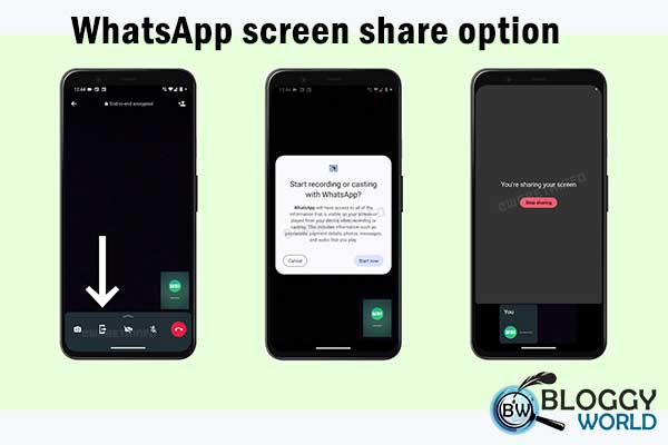 whatsapp-screen-sharing-a-guide-to-using-this-new-feature-bloggy-world