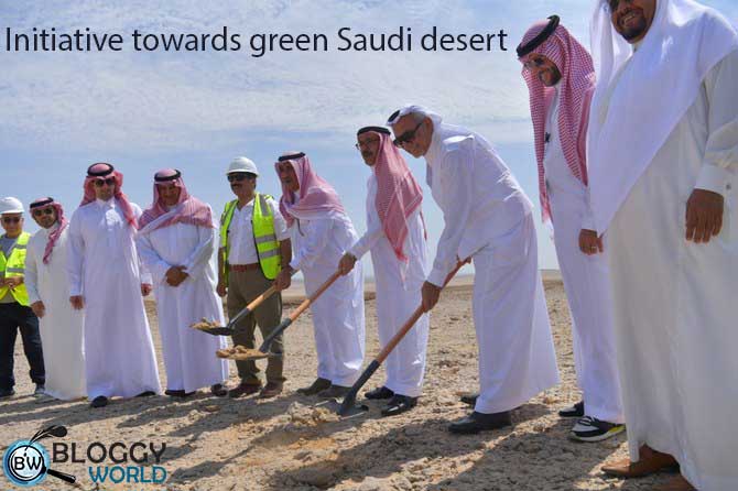 what is neom city suadi arabia,neom city suadi arabia map,neom city suadi arabia location, neom city suadi arabia construction,latest updates of neom city Saudi arabia,neom city suadi arabia budget,area of neom city suadi arabia,neom city suadi arabia area,jaddah to neom city distance,is suadi arabia building a new city,neom city suadi arabia nearest airport,new city suadi arabia the line,neom city suadi arabia latest news,neom city suadi arabia google map,neom city suadi arabia progress,suadi arabia plan new city,neom city suadi arabia temperature,neom city suadi arabia weather,suadi arabia green city,where is neom,green city in suadi arabia,agriculture advancement in Saudi arab,Saudi arabia is growing crops with the help of dutch company,greenhouse implantation in Saudi arabia,Saudi arabia plans to grow crops near Neom the line city, Saudi arabia plans to grow crops by red sea,duth horticulturist implant greenhouse outside neom,future city,Saudi arabia desert area,big garden fields next to neom city,mohammed bin salman,Saudi arabia’s crown prince,van der hoever,dutch expert vander hoever,neom big project, saudi arabia,saudi arabia green desert,saudi arabia green wall,desert farming in saudi arabia,saudi arabia farmland,saudi arabia desert,saudi arabi farmland,arabia desert,saudi arabia desert to farmland,arabic desert,desert,turning desert into farmland,groundwater management in saudi arabia,neom project saudi arabia,saudi arabia desert turns green,agriculture in saudi arabia,saudi arabia water in the desert,saudi arabia water in desert,Saudi, desert farming in saudi arabia,saudi arabia,saudi arabia green wall,saudi arabia green desert,china turns desert into green forests,saudi arabia is turning its desert into green forest,turning desert into farmland,saudi arabia farmland,desert into forest,desert into green,saudi arabia desert,saudi arabia desert to farmland,arabia desert,arabic desert,saudi arabi farmland,desert farming,desert into farmland,desert into fertile land, dutch scientists,growing crops in deserts,scientists in the netherlands,breakthroughs in disease treatment,desert farming,dutch scientists test anti-ageing molecule,food in the desert,dutch,desert,crops,chinese scientists,deserts,the rise of greenhouse farming,turning desert into forest,turning desert into farmland,scientist (profession),scientists test anti-ageing molecule,scientists,desert into fertile land,the future of food, synthetic climate,