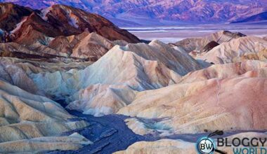 Death valley facts,How was death valley formed,How big is death valley,Death valley temperature,Series of death valley,death valley days,weather death valley,man found dead death valley,the ranch at death valley,death valley map,where is death valley,death valley floodingdeath valley national park weather,temperature in death valley,death valley elevation,where to stay in death valley,best time to visit death valley,what is death valley,best time to visit death valley,Death valley national park,death valley California,death valley roads,death valley us,death valley America,Legends and Lore of the Desert,The Magnificent Mesquite Flat Sand Dunes of Death Valley,Death Valley,Death Valley geography,Death Valley location,Death Valley climate,Death Valley history,Death Valley attractions,Death Valley temperature,Death Valley elevation,Death Valley National Park,Death Valley photography,Death Valley safety tips,Death Valley road trip,Death Valley desert landscapes,Death Valley sunrise and sunset,Death Valley weather conditions,Death Valley natural wonders,Death Valley visitor guide,Death Valley stargazing,Death Valley summer heat,Death Valley hidden gems,Death Valley Native American heritage,Death Valley historical sites,Death Valley hiking trails,Death Valley points of interest,Death Valley unique ecosystems,Death Valley artist's palette,Death Valley mysteries,Death Valley survival tips,Death Valley desert flora and fauna,Death Valley accommodations,Death Valley road trip itinerary,Death Valley park entrance,Death Valley visitor center,Death Valley camping,Death Valley wildlife,Death Valley adventure travel,Death Valley outdoor activities,Death Valley off-road exploration,Death Valley climate extremes,Death Valley travel guide,Death Valley vacation planning,Death Valley trip essentials,Death Valley historical significance,Death Valley natural beauty,Death Valley unique geology,Death Valley salt flats, interesting facts,death valley | the hottest place on earth | death valley's histroy and facts | umar warraich,hottest place on earth,facts,death valley,hottest place on earth in hindi,#hottest place on earth,death valley national park,death valley trailer hindi,death valley national park vlog,death valley heat wave,death valley ka rahasya,what to do in death valley,death valley's opera house,things to do in death valley,Death Valley desert hiking,Death Valley desert photography,Death Valley desert wildflowers,Death Valley hiking safety, death valley,death valley national park,hottest place on earth,death valley california,most extreme places on earth,extreme places on earth - death valley,one of the most extreme places on earth!,death valley extreme places on the planet,death valley road,5 most extreme places on earth,death valley temperature,death valley heat,the place hotter than death valley & other extreme locations,best places on earth,death valley vacation,driest place on earth, death valley heat record,death valley,temperature ever recorded on earth,hottest temperature in death valley,death valley national park,death valley temperature,world record temperature,where to go in death valley,hottest day in death valley,where to stay in death valley,death valley california,ca heatwave temperatures,things to do in death valley,health,temperature,furnace creek death valley,death valley extreme heat,death valley weather,