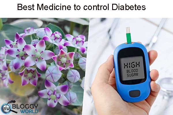 Health benefits of aak plant,health benefits of crown flower,medicinal uses of crown flower,medicinal uses of aak plant,how to cure diabetes,herbal treatment of diabetes,treatment of joint pain,how to cure joint pain,skin diseases,skin remedies,joint pain remedies,herbal treatment of joint pain,how to treat joint pain at home,asthma,treatment of asthma,how to treat asthma,toothache,how to cure toothache,home remedies for toothache,how to treat toothache at home,herbal treatment of toothache,herbal tea for diabetes,antidote to snake venom,how to reduce inflammation in joints,natural organic product aak oil for joint pain,crown flower oil for joint pain,quick relief for joint pain,totka for joint pain,totka for asthma relief,totka for diabetes, calotropis gigantea,health benefits of crown flower,health benefits of madar,#health benefits for aak,benefits of calotropis plant,health benefits of aak or madar,crown flower benefits,calotropis gigantea plant,benefits of madar plant,odia health benefits,benefits of a plant based diet,benefits of madar,calotropis plant benefits,astro beefits of madar,apple of sodom calotropis gigantea,how to grow calotropis gigantea,calotropis gigantea. calotropis gigantea,calotropis gigantea plant,calotropis plant,calotropis procera,calotropis benefits,calotropis,calotropis gigantean,calotropis gigantea poisoning,calotropis flower,calotropis gigantea plant care,soursop leave tea health benefits,soursop health benefits,calotropin,uses of calotropis,health,natural health benefits, calotropis gigantea,aak plant benefits,health benefits of calotropis gigantea,calotropis plant,calotropis plant benefits,calotropis gigantea plant,benefits of madar,benefits of calotropis gigantea,madar plant,सफेद आक लगाने के फायदे। benefits of calotropis gigantea,benefits of aak leaves,benefits of aak,calotropis gigantea health benefits,calotropis gigantea medicinal uses,health benefits of aak plant,aak plant milk benefits,benefits of akk plant, dr bilquis sheikh official,dr. bilquis,totka in urdu,totka in hindi,totkay in urdu,totkay in hindi,hindi,urdu,dr bilquis,dr. bilquis sheikh,dr. bilquis shaikh,herbal remedy,home remedy,beauty tips,remedy in urdu,remedy in hindi,nerve pain,body pain,nervous body pain,indigestion,diarrhea,constipation,stomach ulcer,toothache,joints pain,boils,inflammation,fever,muscular spasm,stomach worm,warts,aak plant benefits,