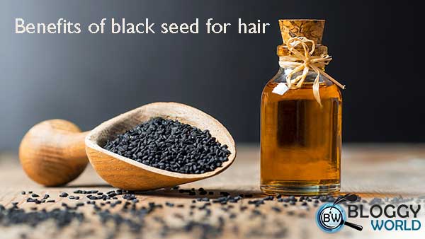 Rosemary plant,rosemary dry herb,rosemary,flower,rosemary water,rosemary in urdu,rosemary in hindi,rosemary for hair,roaemary for hair growth,rosemary for hair fall,how to use rosemary for hair growth,amaltas flower amaltas fruit,golden shower tree in urdu amaltas,benefits of golden shower tree,amaltas tree,amaltas ki phali,amaltas multiventuresamaltas benefits,amaltas natural hair tonic for hair growth,amaltas ki phali,hair growth serum,rosemary water, Hair growth remedies,DIY hair sprays,homemade herbal hair care,natural hair care recipes,rosemary oil for hair,black seed hair benefits,golden shower tree hair treatments,herbal hair elixirs,scalp health solutions,DIY hair loss prevention,nigella sativa for hair growth,botanical hair treatments,homemade hair tonics,essential oils for hair health,natural ingredients for hair growth,rosemary for hair growth recipe,how to make rosemary for hair growth,cloves and rosemary for hair growth,castor oil and rosemary for hair growth, extreme hair growth,hair growth serum,diy hair growth serum,hair growth,बालों को वापस उगाने सबसे अचूक तरीका,खोये हुए बालों को वापस उगाने सबसे अचूक तरीका,#सबसे powerful hair growth oil#for extreme #hair growth #बालों को वापस उगाने सबसे#अचूक तरीका,hair growth challenge,homemade serum for hair growth,सबसे powerful hair growth serum,diy hair growth oil,powerful homemade serum for extreme hair growth,How to make Golden Shower Tree Infusion for hair growth?, white hair to black hair naturally,white hair to black hair,black hair naturally,grey hair,natural hair dye,white hair,hair dye,white hair to black hair naturally in just 6 minutes permanently,black hair,black hair dye,white hair to black hair naturally at home,white hair treatment,natural hair,gray hair,white hair treatment at home,premature grey hair,homemade hair dye,how to remove white hair naturally,natural hair colour,how to get white hair,how to make make Black Seed for hair growth? healthy and beautiful hair,Amaltas Guda,Amaltas Pulp,Cassia Fistula Pulp, rosemary water for hair growth,rosemary water,diy rosemary water,how to make rosemary water,rosemary water for hair growth before and after,rosemary water for hair,rosemary water benefits,rosemary oil for hair growth,rosemary water results,rosemary,rosemary oil,diy rosemary water for hair,i tried rosemary water on my hair,rosemary water for healthy hair,rosemary for hair,how to make rosemary water for hair growth,rosemary oil for hair,rosemary plant, rosemary water benefits,rosemary,rosemary water before and after,benefits of warm water,benefits of copper water,rosemary oil for hair growth,rosemary water myths,rosemary water,how to make rosemary water for hair,rosemary water for regrowth,rosemary water for hair growth,rosemary water for 7 days on hair,rosemary water for hair,rosemary water for hair shedding,rosemary oil for hair growth before and after,rosemary for hair loss,benefits of rose tea