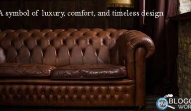 best leather sofa or couch design complete guide from color to style best brands