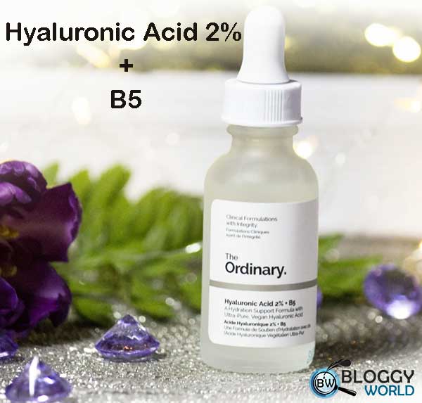 best hyaluronic acid serum by the ordinary good for all skin types image presented by bloggy world
