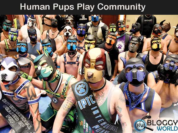 human pups communities kink and BDSM where humans acts as human pup play