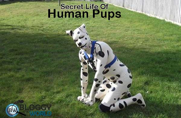 human pup plays the role of dog wearing dog costume