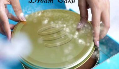 layers bakeshop's new cake in tin box name dream cake