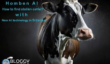 homben AI to find stollen cattle with new AI technology in Srilanka