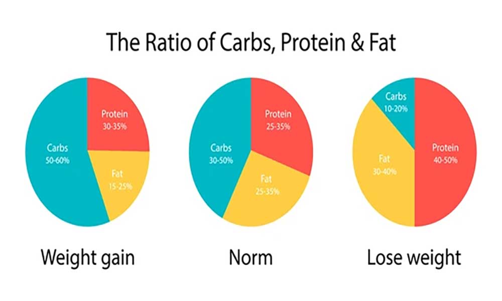 image shows three graphs of ratio of fat carbs and protien in normal diet weight gain and keto diet or lose weight