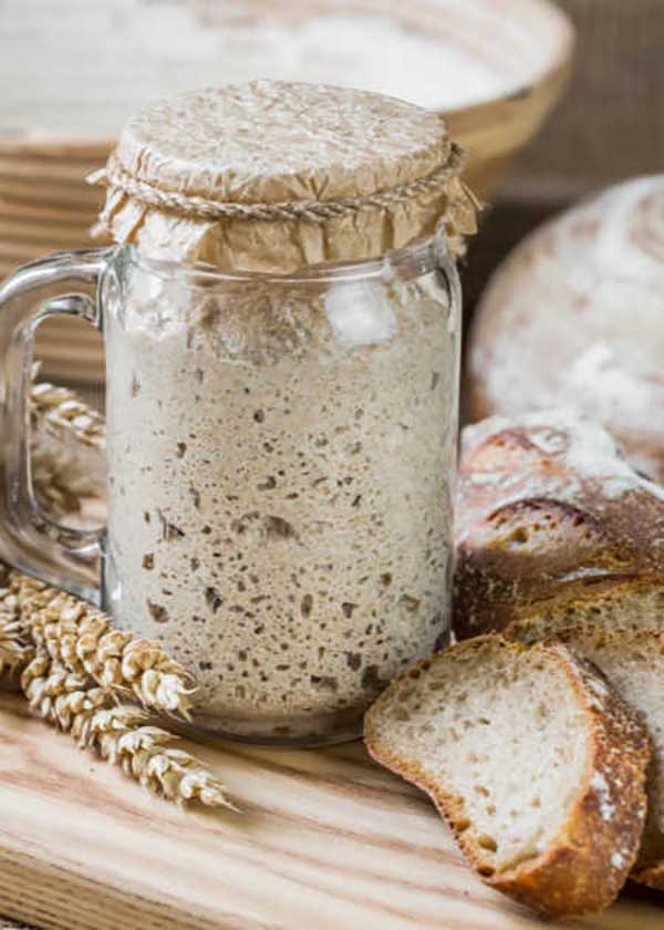 A jar of sourdough starter covered with paper and string sits on a wooden board next to sliced rustic bread and wheat stalks