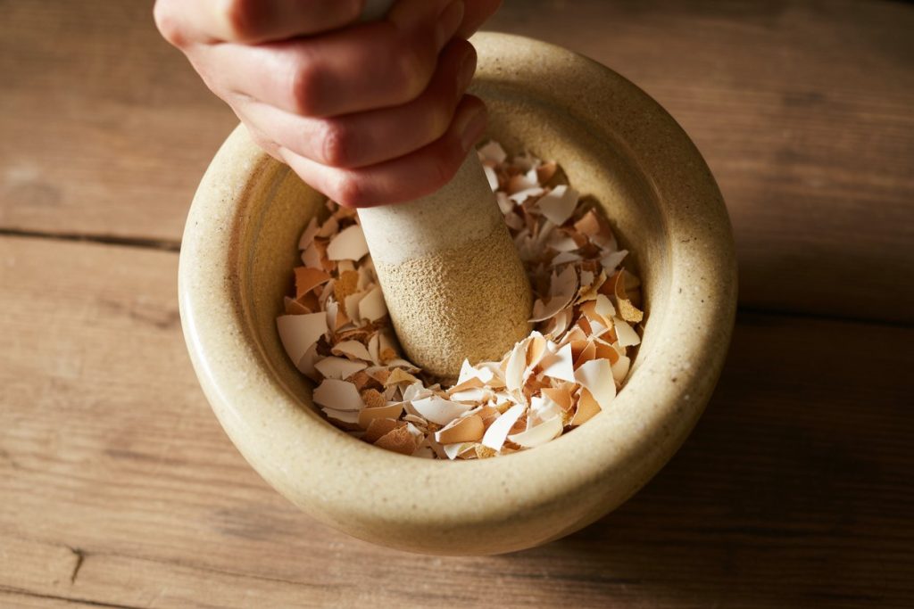 Grinding of egg shells to make calcium powder at home