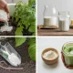 best use of homemade calcium powder spending zero money